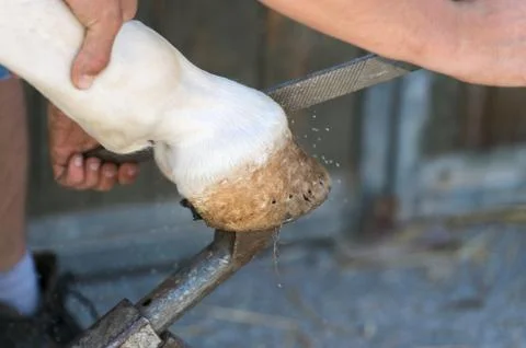 Blacksmith Stock Photos