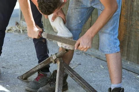 Blacksmith Stock Photos