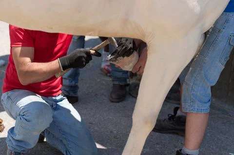 Blacksmith Stock Photos