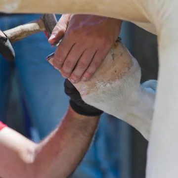 Blacksmith Stock Photos