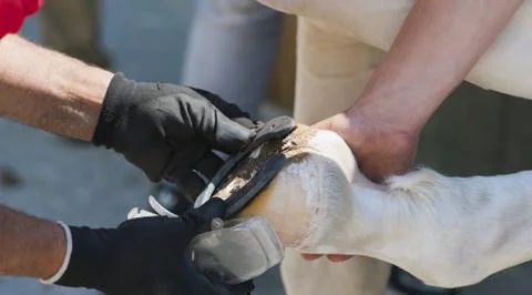 Blacksmith Stock Photos
