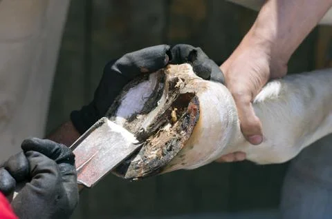 Blacksmith Stock Photos