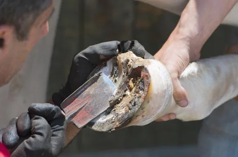 Blacksmith Stock Photos