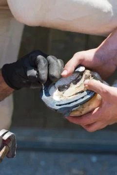 Blacksmith Stock Photos