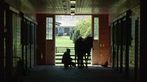 Blacksmith working on a horse 動画素材 524560
