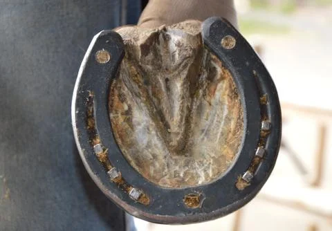 Blacksmith workshop Stock Photos