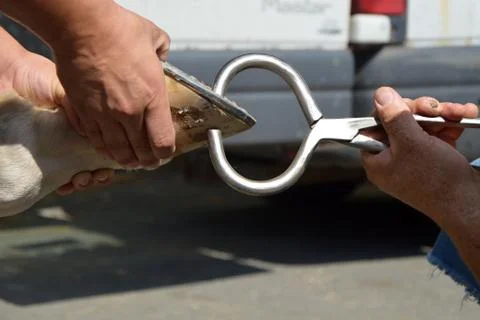 Blacksmith workshop Stock Photos