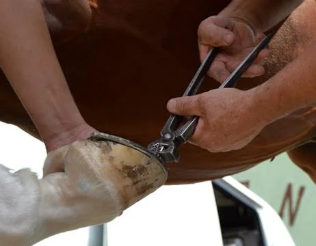 Blacksmith workshop Stock Photos