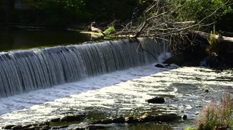 Blackstone River Waterfall 動画素材 68539297