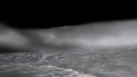 Blacktip Reef Shark Snaps at Small Fish and Chases Prey at Night in Maldives Stock Footage 342471510