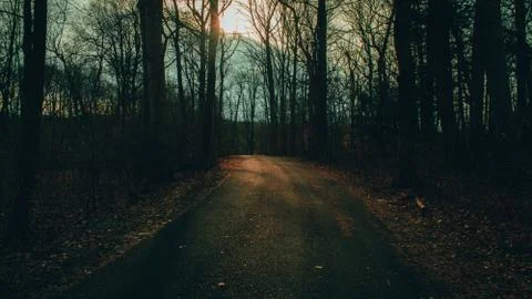 A Blacktop Path in a Dead Winter Forest With a Bright Sunset Behind It Stock Photos