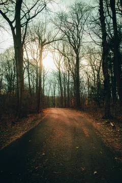 A Blacktop Path in a Dead Winter Forest With a Bright Sunset Behind It Stock Photos