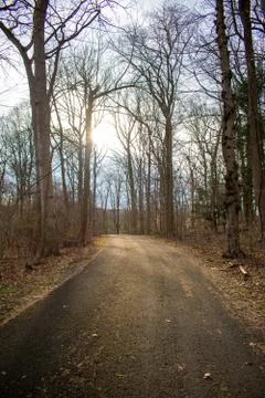 A Blacktop Path in a Dead Winter Forest With a Bright Sunset Behind It Stock Photos