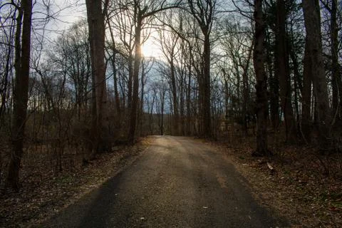 A Blacktop Path in a Dead Winter Forest With a Bright Sunset Behind It Stock Photos