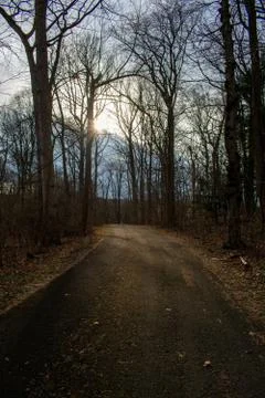 A Blacktop Path in a Dead Winter Forest With a Bright Sunset Behind It Stock Photos