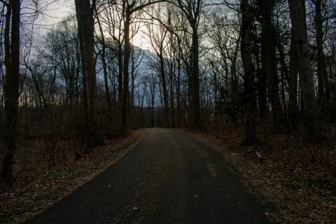 A Blacktop Path in a Dead Winter Forest With a Bright Sunset Behind It Stock Photos