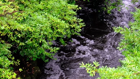 Blackwater Bridge Stock Footage 166220308
