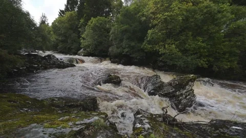 Blackwater River Stock Footage 250954903