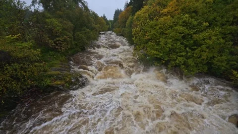 Blackwater River Stock Footage 252573538