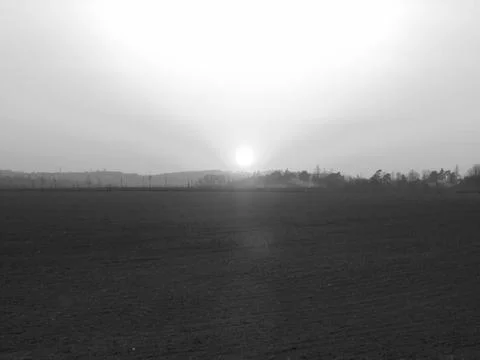 Blackwhite image - Harsh sunlight from setting sun covering the sky over bare Stock Photos
