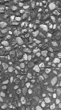 Blackwhite image - Pebbly pattern background, pebbles embedded in concrete. Stock Photos