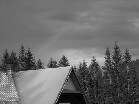 Blackwhite image - Rainbow above forest hills after storm | Beautiful scenery Stock Photos