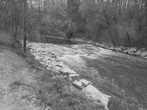 Blackwhite image - Shallow rapids on a large river in the forest during spring. Foto stock