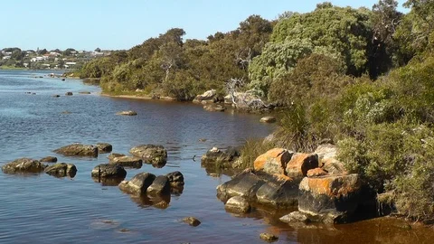 The Blackwood River in Augusta Stock Footage 89187867