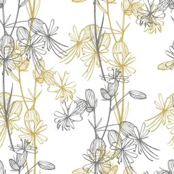 Bladder campion flowers. Set of drawing cornflowers, floral elements, hand drawn Stock Illustration