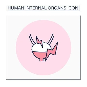 Bladder color icon Stock Illustration