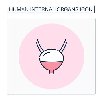 Bladder color icon Stock Illustration