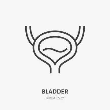 Bladder flat line icon. Vector thin pictogram of human internal organ, outline Illustrazione stock