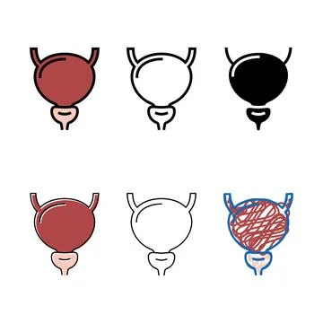 Bladder human organ color range icon vector Stock Illustration