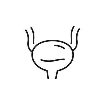 Bladder Icon Stock Illustration