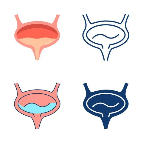 Bladder icon set in flat and line style Illustrazione stock