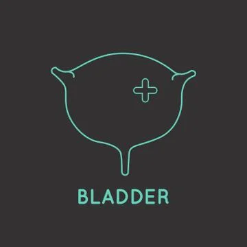 Bladder medical logo vector Stock Illustration