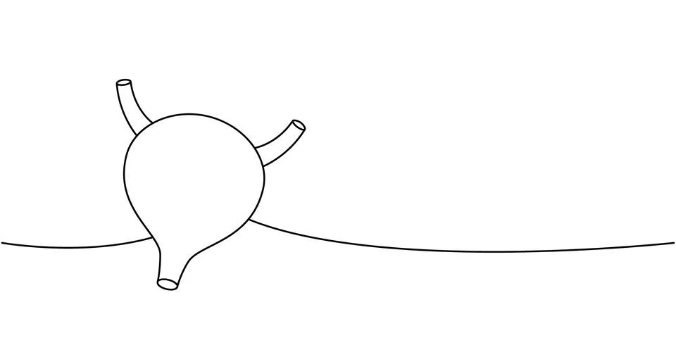 Bladder one line continuous drawing. Human internal organ continuous one line Stock Illustration