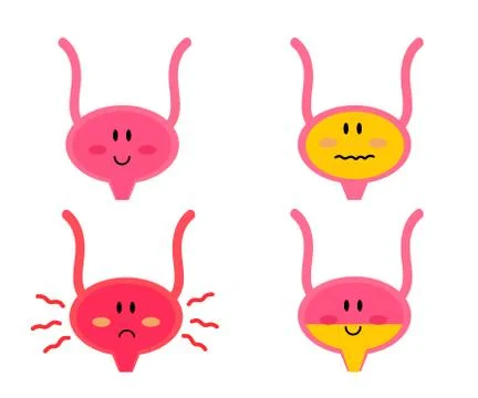 Bladder on a white background. Cystitis. Stock Illustration