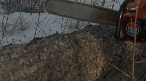 Blade of chainsaw cuts log Stock Footage 21574259
