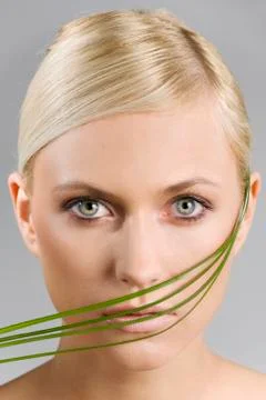 The blade of grass Stock Photos