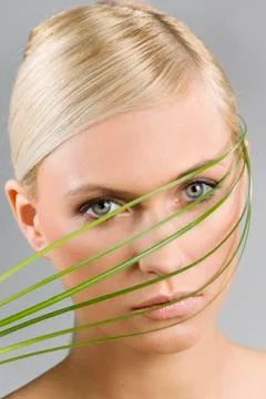 The blade of grass Stock Photos
