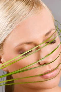 The blade of grass Stock Photos