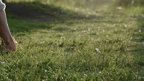 Blade of Grass Swaying at Sunset, Capturing Nature's Tranquility and Beauty Stock-Footage 295970191