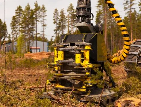 Blade of a a logging machine Stock Photos