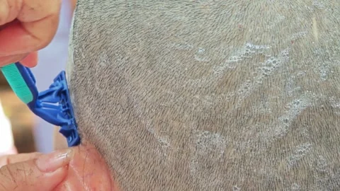 The blade moving with the shaving foam. Stock Footage 306994452