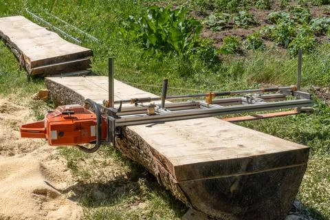 Blade sawing using a mobile chainsaw mill Stock Photos