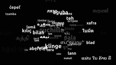 Blade Translated in 77 Worldwide Languages Endless Looping 3d Zooming Wordclo Stock Footage 145216564