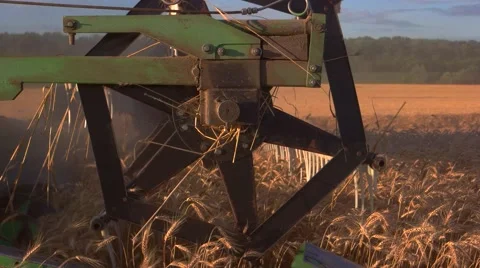 Blades of combine cutting ears. Stock Footage 66710192