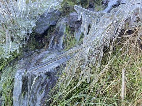 Blades of grass covered in thick clear glaze ice formed by freezing rain Stock Photos