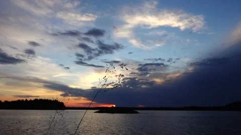 Blades of grass in front of sunset over calm lake Video stock 156066372